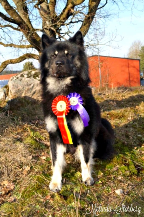 received_290874638273530