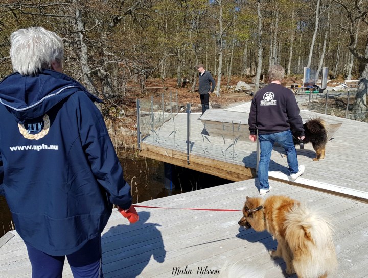 57348244_792579624444077_5525602630350405632_n (2)