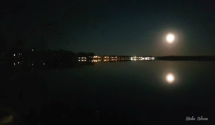 57649270_627361047676754_7516479792074457088_n (2)