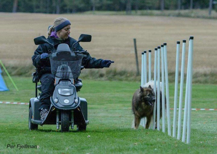 57821745_2422709654416122_8245386929625890816_n