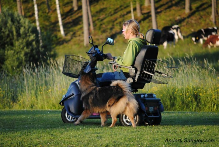 57989079_2334083030020485_1060358701610696704_n