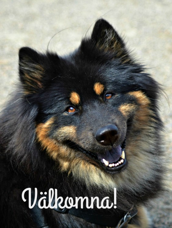 2016-07-07-21-57-01-4