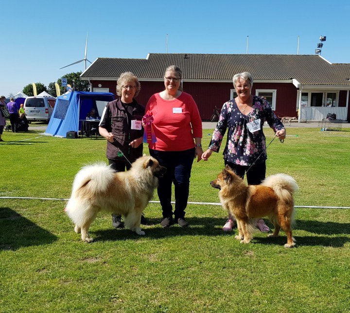 66639446_331880044365583_3634116174406483968_n (2)