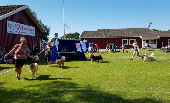 66703130_1053528888369468_6815926177480310784_n (2)