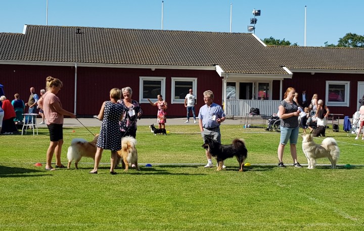 66849358_440484863200493_5527562011610710016_n (2)