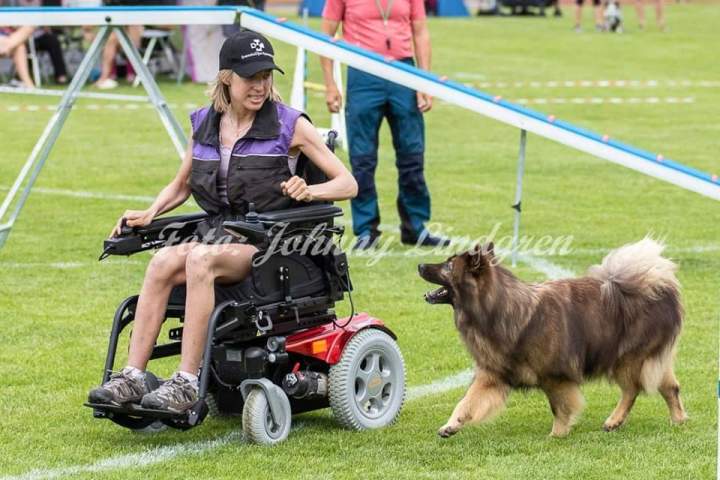 FB_IMG_1565155831853