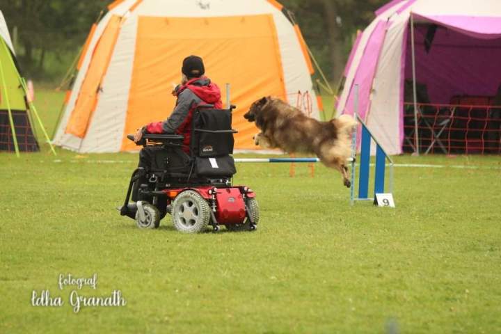 FB_IMG_1565155854080