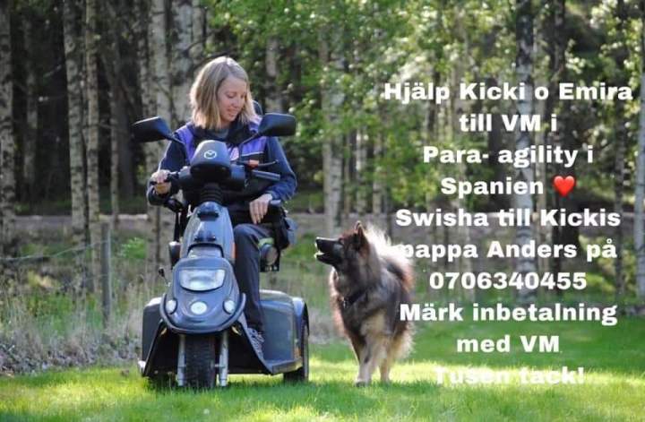 FB_IMG_1565339213659