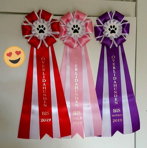 thumbnail_DSC_1833 (2)