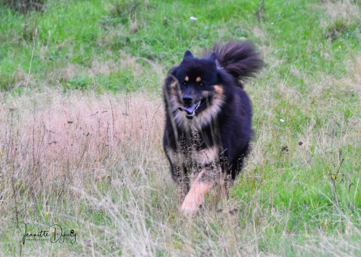 DSC_6030 (2)