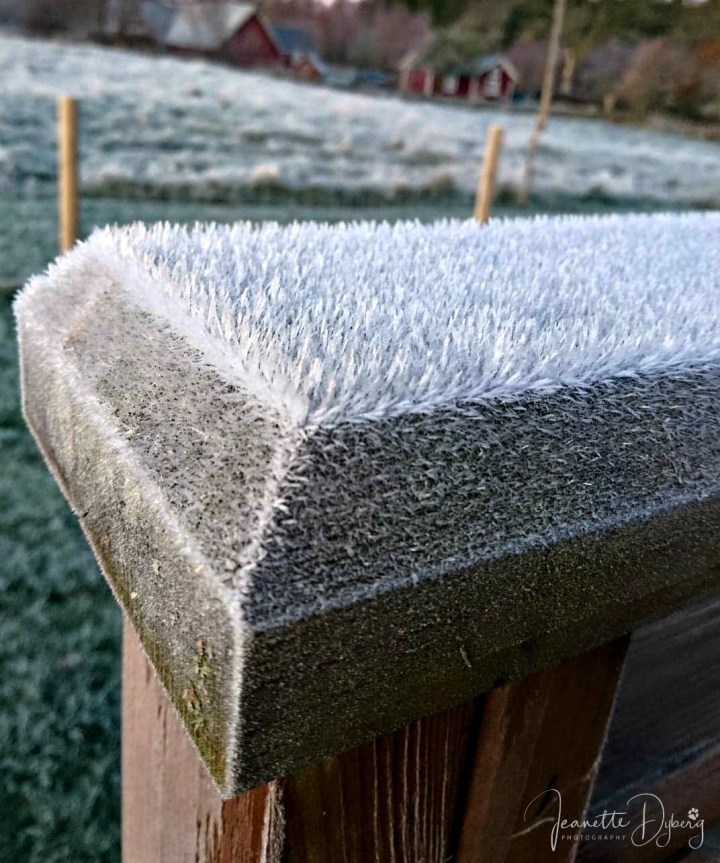 73364091_718932158620657_5544263378488262656_n