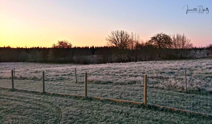 75640736_458703301416974_4638589654914826240_n