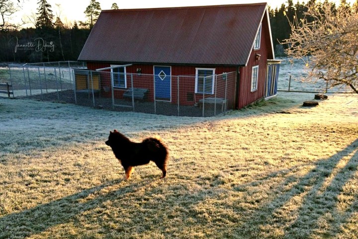 76652812_1906179796192082_8802879409838096384_n