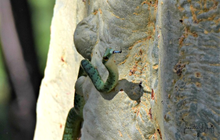DSC_7112 L(2)
