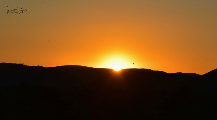 DSC_7125 L(2)