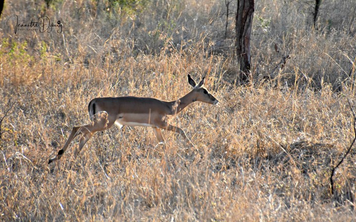 DSC_7189 L(2)