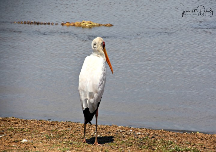 DSC_7360 L(2)