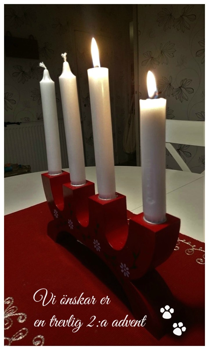 78391555_1049782648692060_6403123779601432576_n (2)