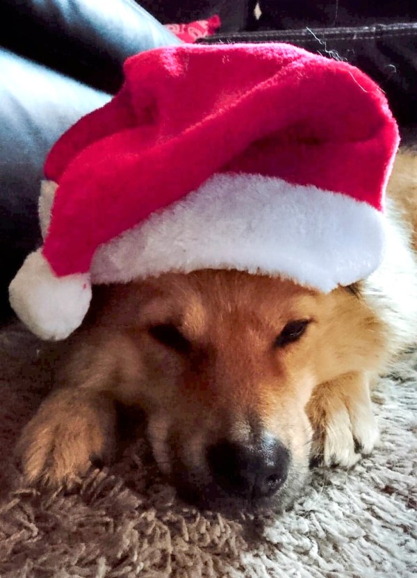 80668908_604952297001702_658996258362359808_n