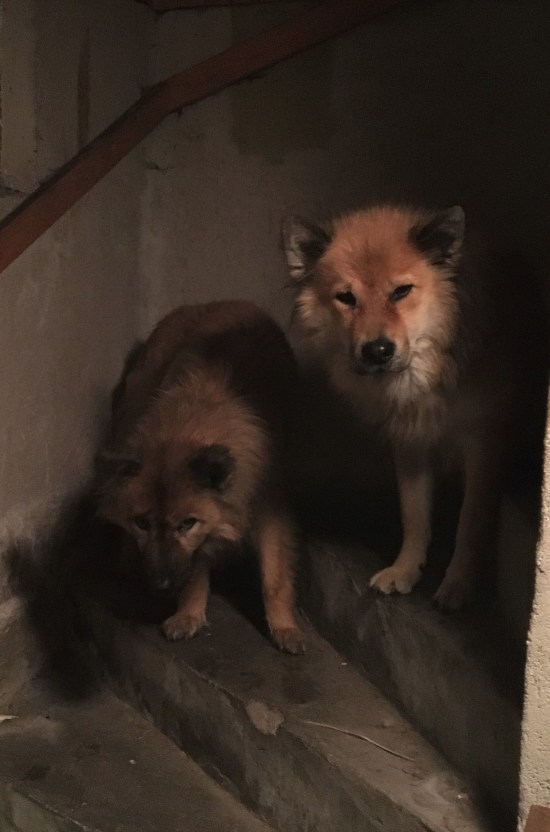 82229993_594584221327221_3615508877136625664_n (2)