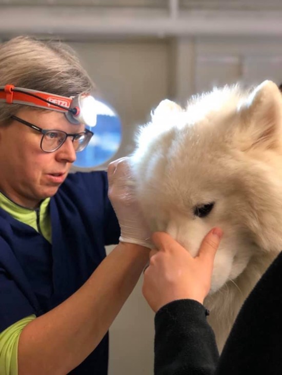 82380524_1212155568981959_4029897552466804736_n