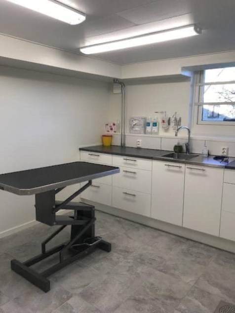 82591350_567799693950692_4029743290126434304_n