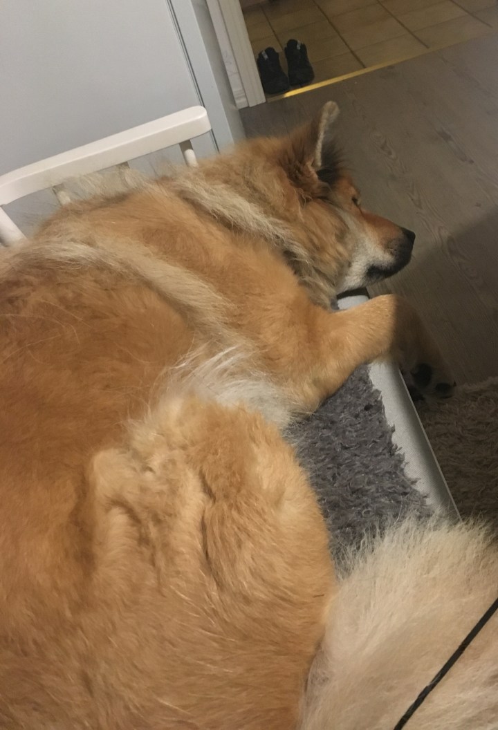 83802192_479183253006995_879032320609222656_n