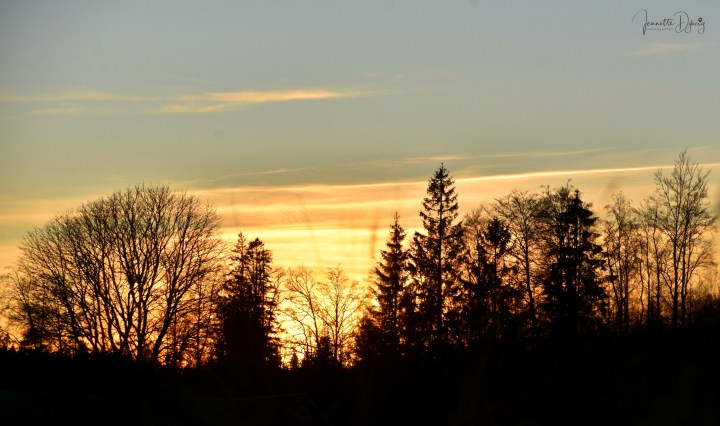 DSC_0019 (2)