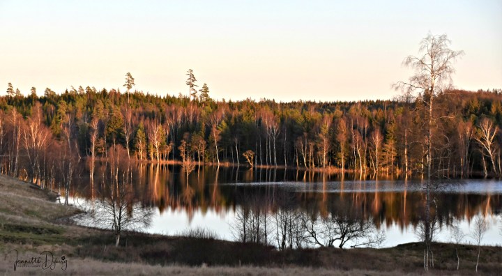 DSC_9953 (2)