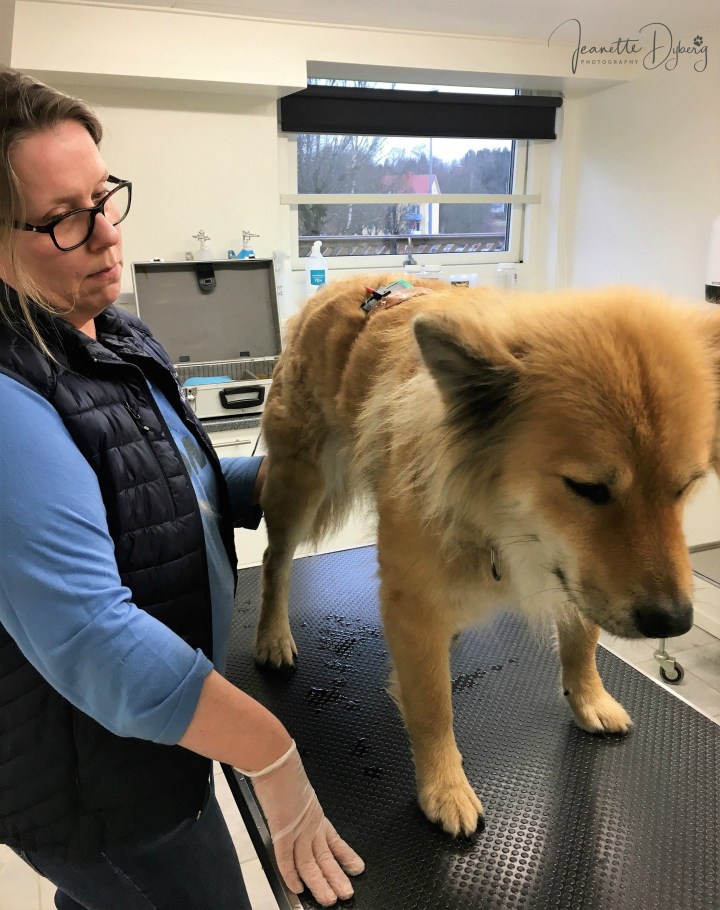 84477239_780839619090459_5219059870858215424_n (2)