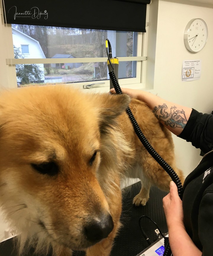 84637554_1277968855732527_1873423429814714368_n (2)