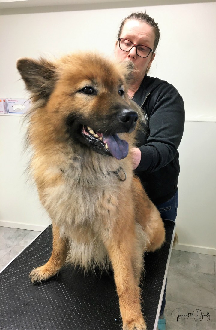 84891912_2449590085296036_3683445050622083072_n (2)