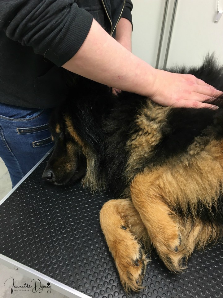 85032295_2526227484316573_8899550855859011584_n (2)