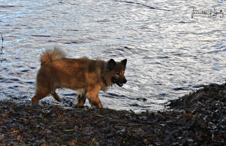 DSC_0716 (2)