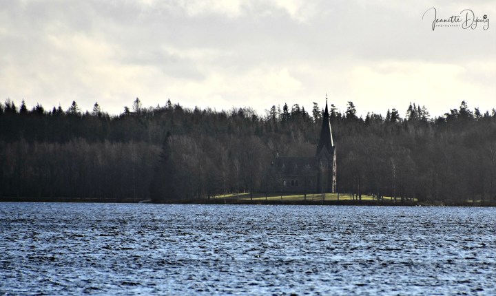 DSC_0769 (2)