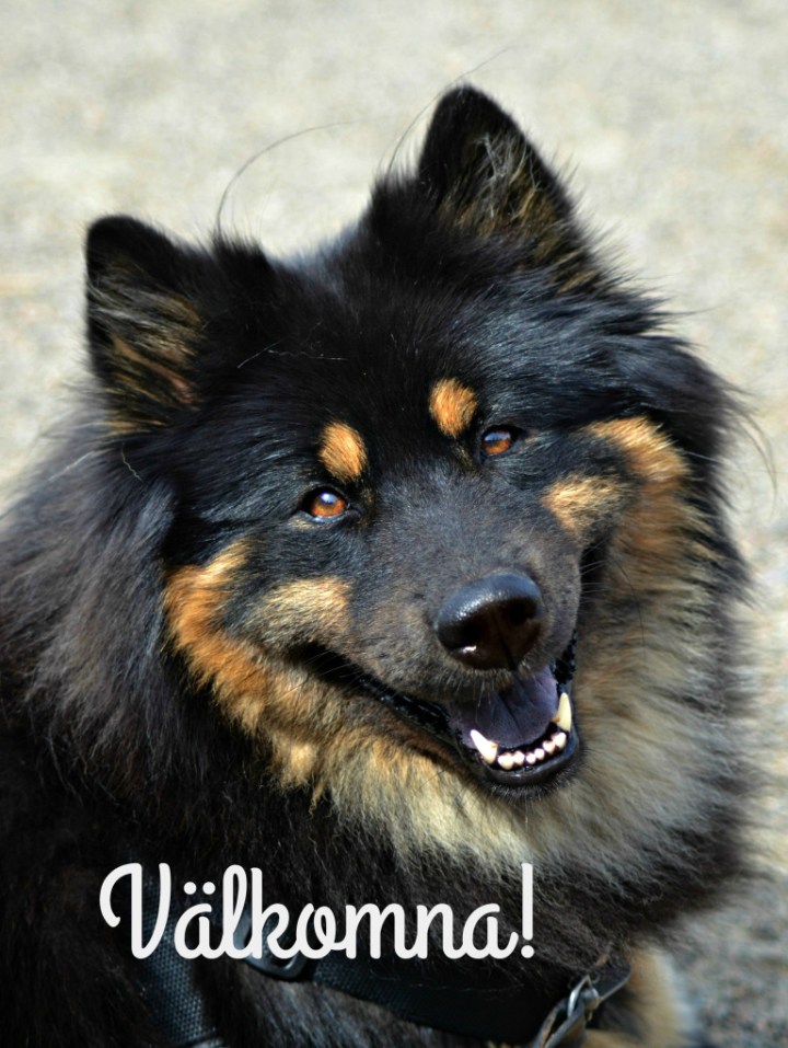 2016-07-07-21-57-01-4