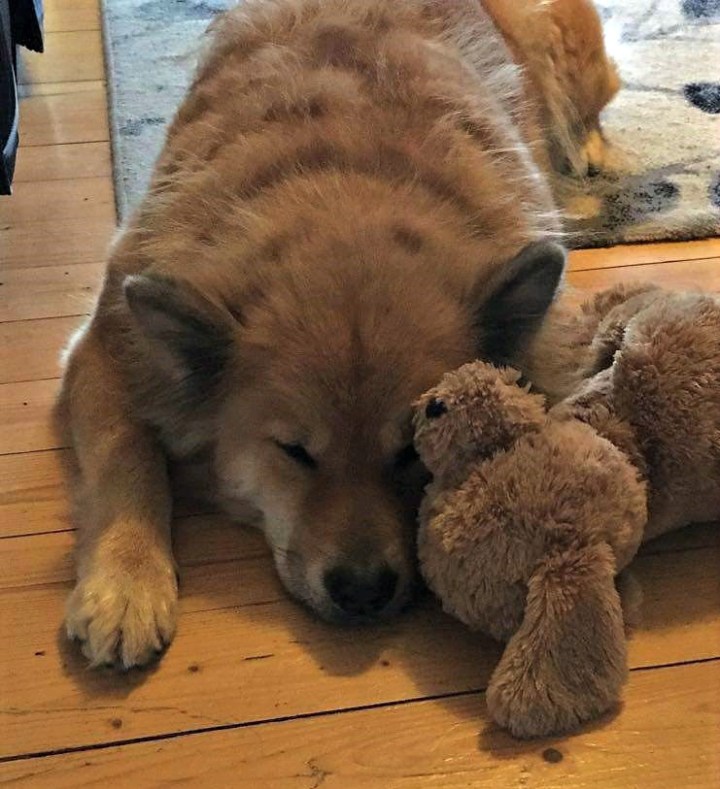 88166329_552183118979970_8375929033203908608_n