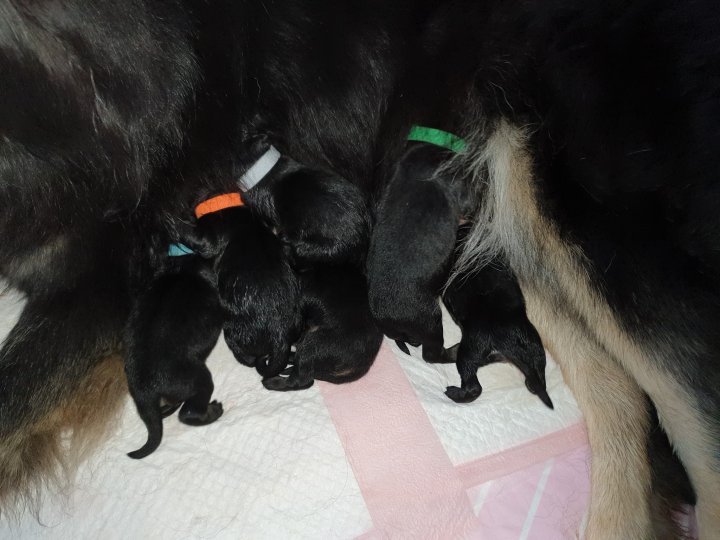 88236408_2574939946114690_959902672142467072_o