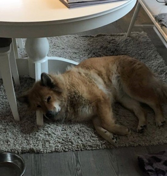 88339885_880275162414974_7849651288672305152_n (2)