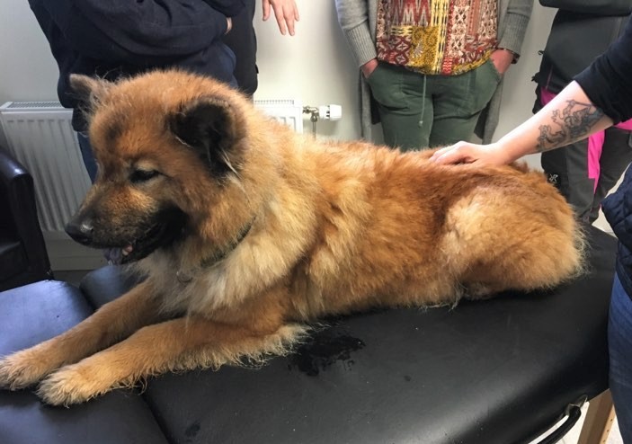 89101180_215837756285122_752820579152691200_n