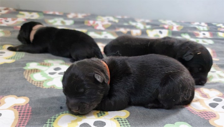 89116084_3079368478762808_8657425184103333888_o