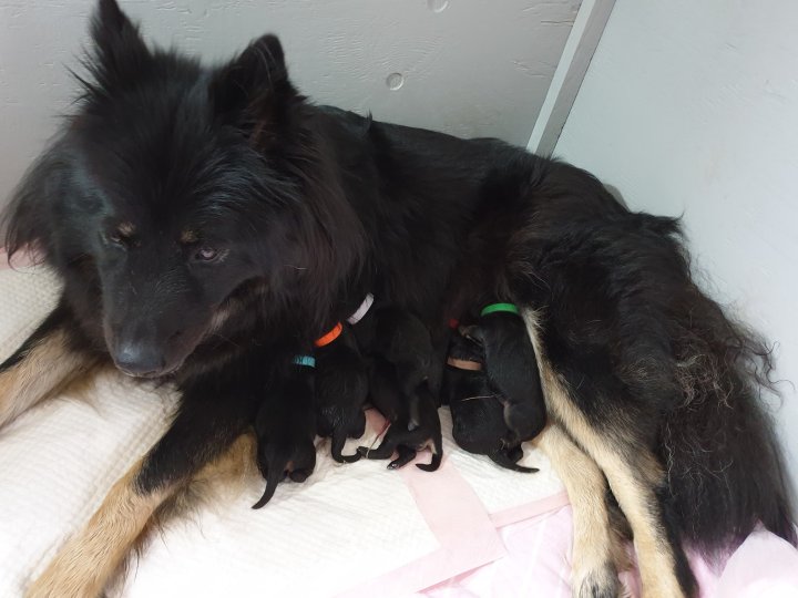 89124656_2574939996114685_4811404188124708864_o