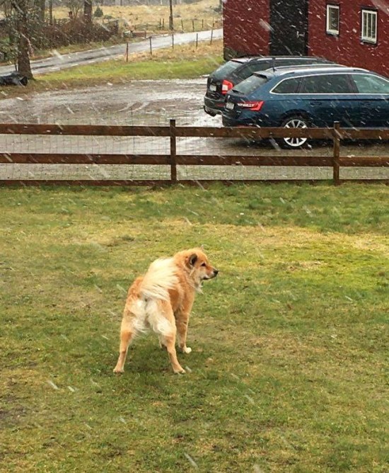 89219921_205912427342108_1423948814456193024_n (2)