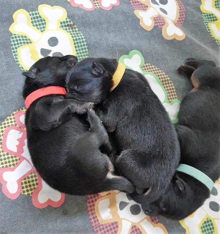 89239609_3079369275429395_5265572949334687744_o