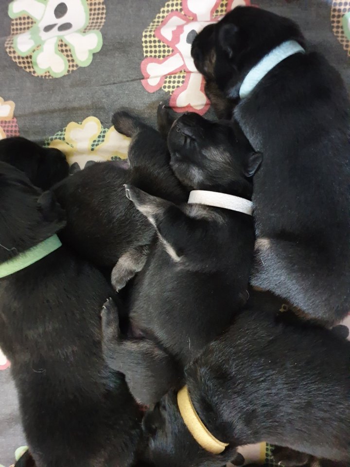 89694088_2582570422018309_2454819756671238144_o