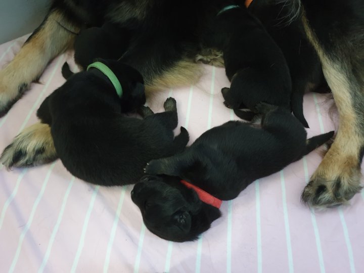 89760525_2582571275351557_4602847770301169664_o