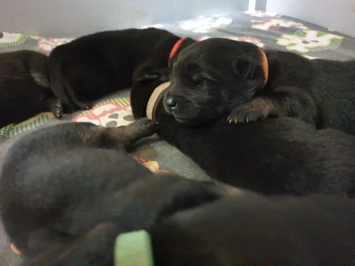 89769547_2582569965351688_6537389336357240832_o