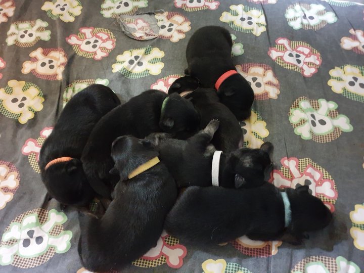 89775233_2582570338684984_2817755492594483200_o (1)