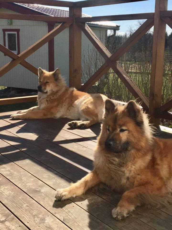 90350599_220637439315617_5468016902846545920_n