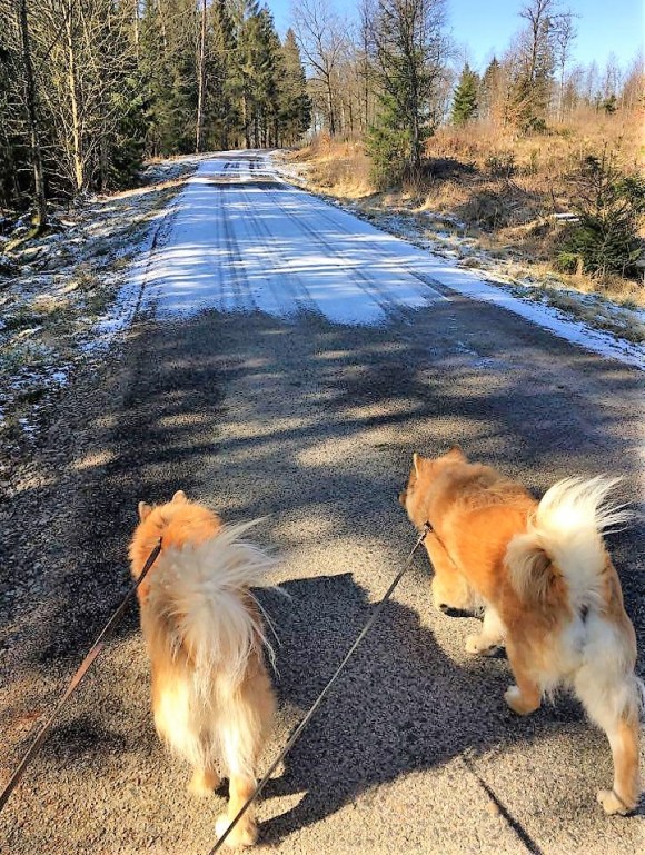 90964814_671867863624198_3242256608293552128_n (2)